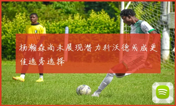 杨瀚森尚未展现潜力科沃德或成更佳选秀选择
