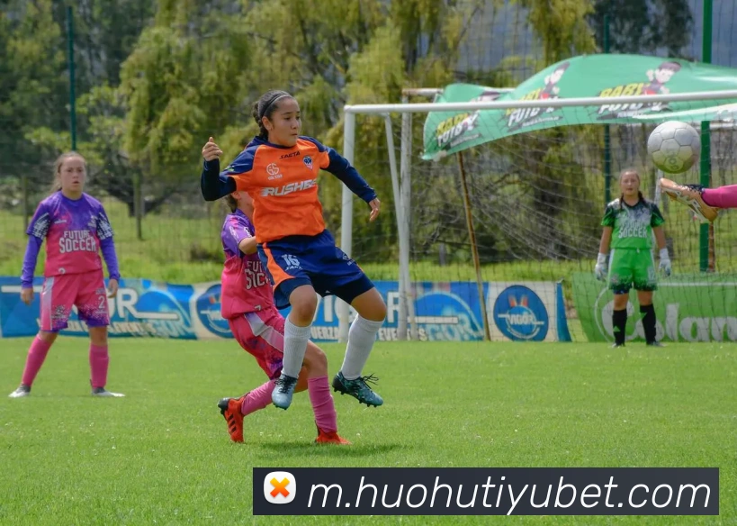 火狐体育平台生态图